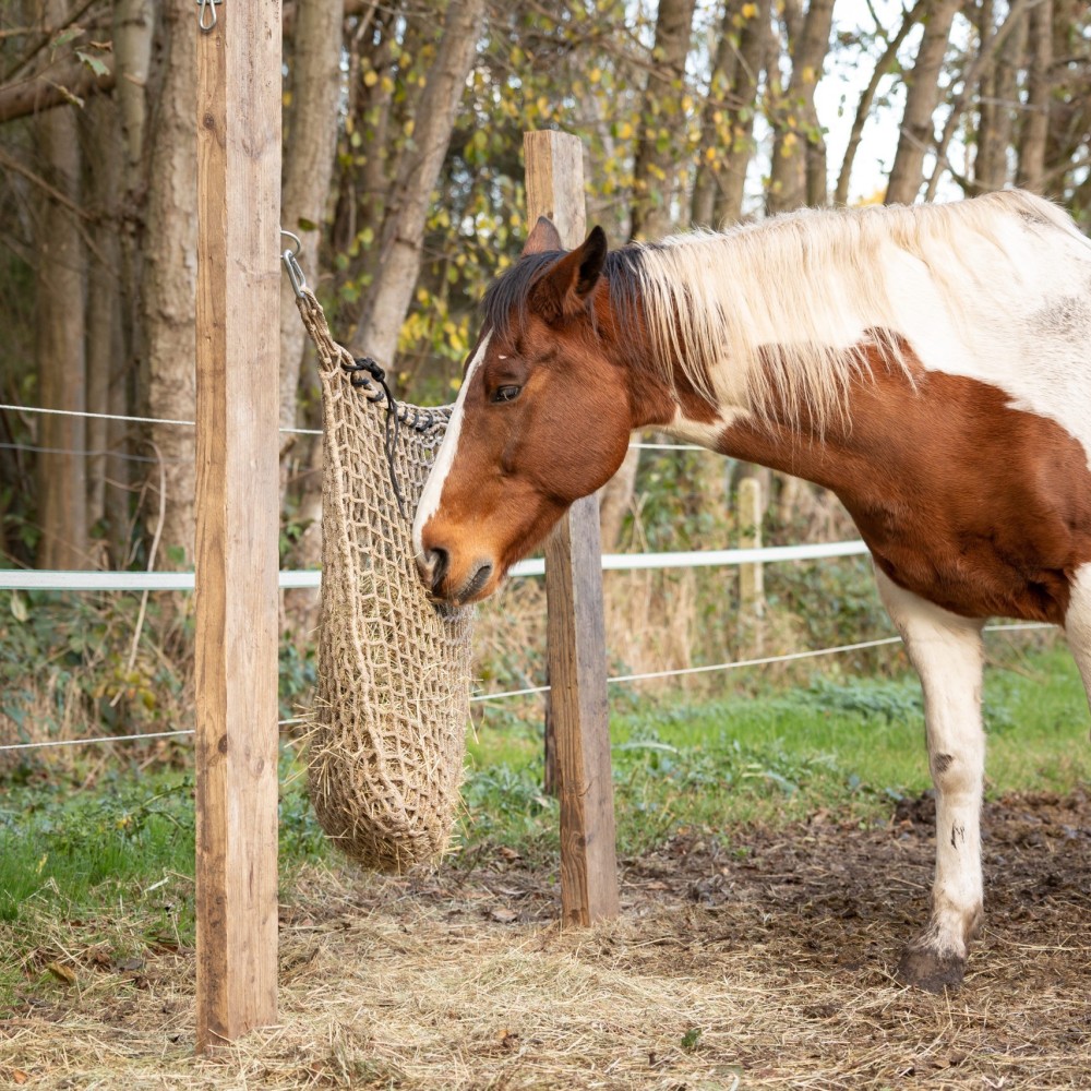 Hay Slowfeeder 10kg