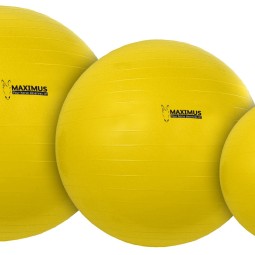 Maximus Power Play Ball - paardendroom.be