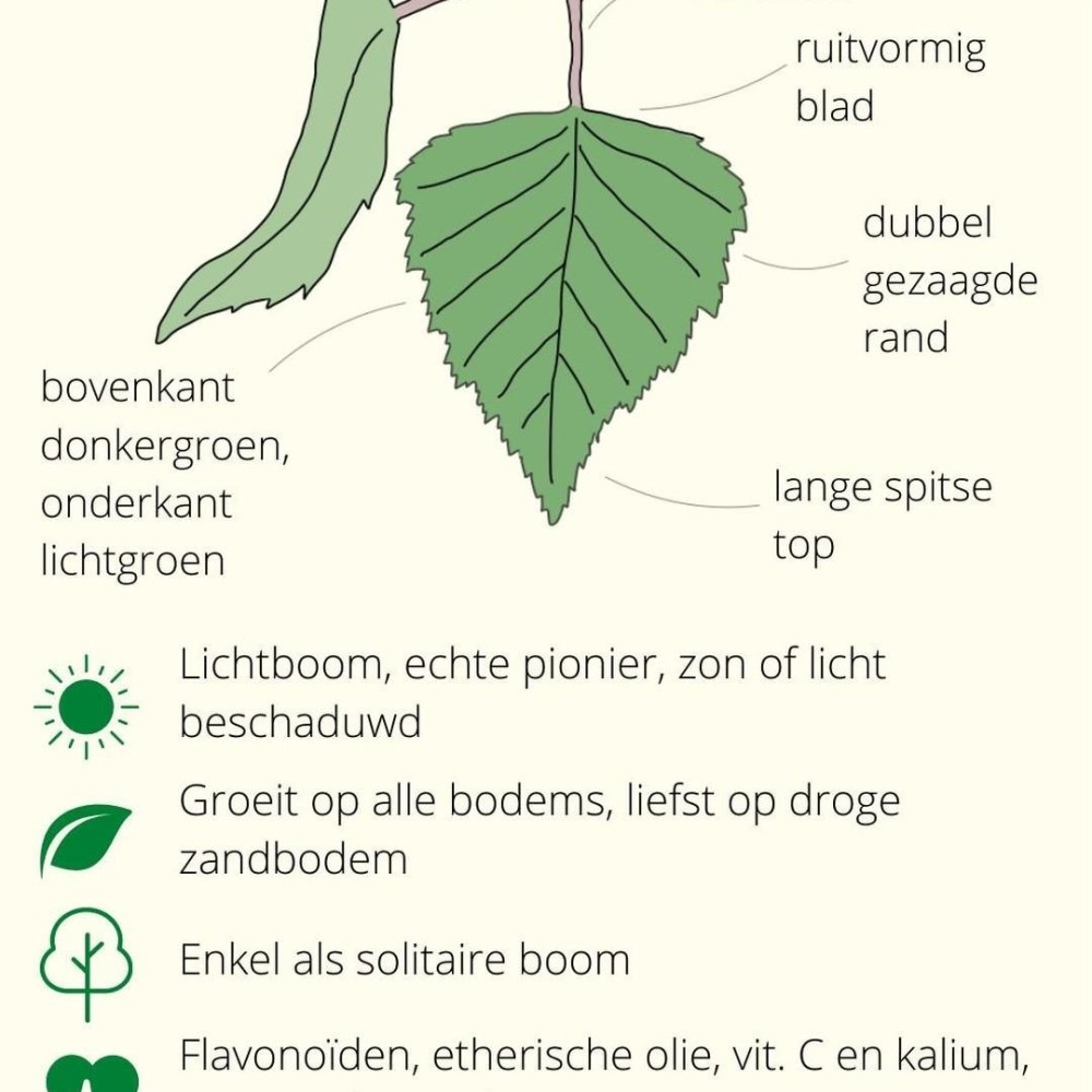 Bolt's Biotoop Bomenwaaier - paardendroom.be