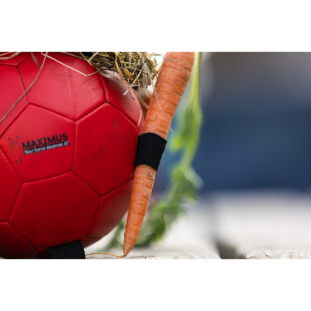 Maximus Fun Play Ball - paardendroom.be