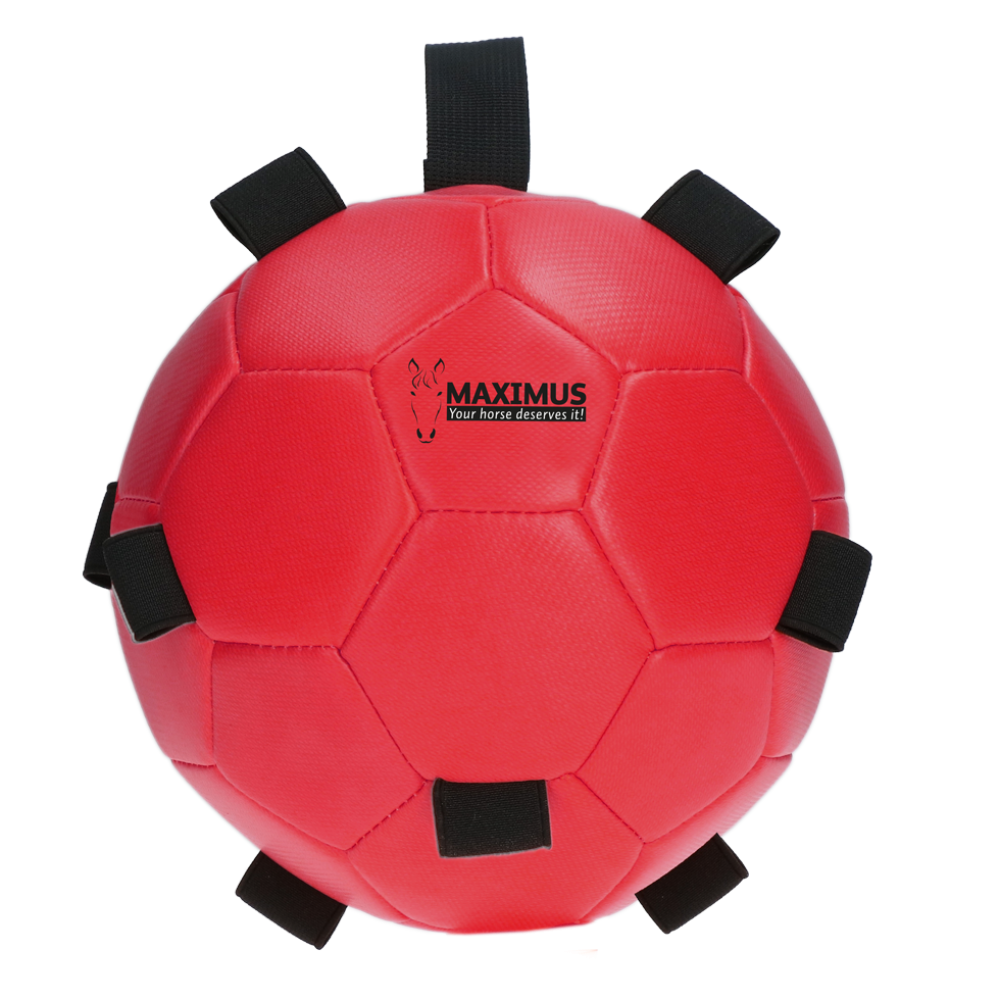 Maximus Fun Play Ball - paardendroom.be