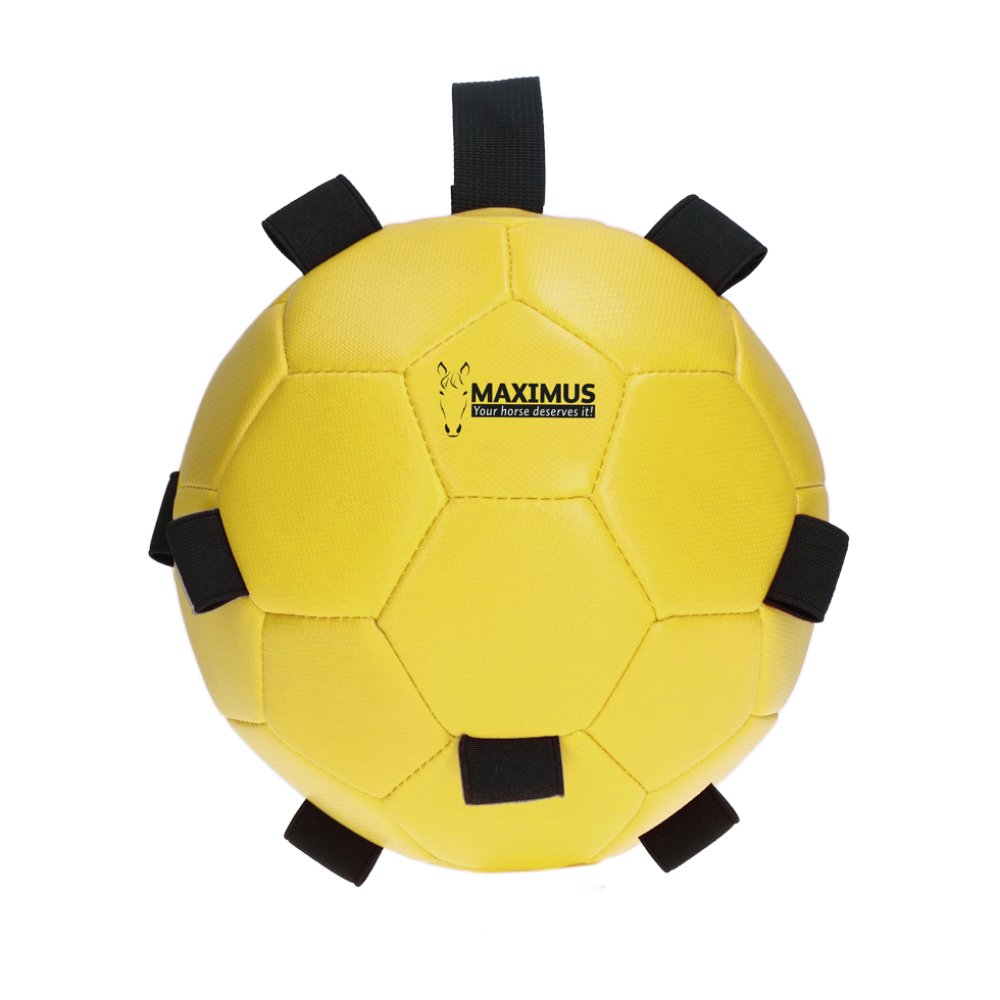Maximus Fun Play Ball - paardendroom.be