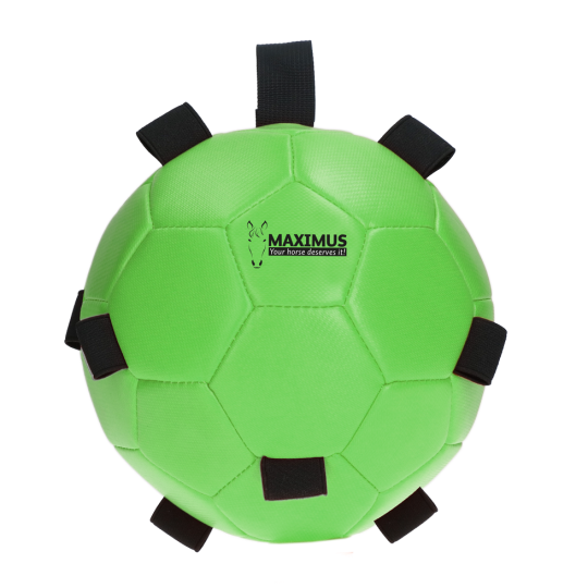 Maximus Fun Play Ball - paardendroom.be