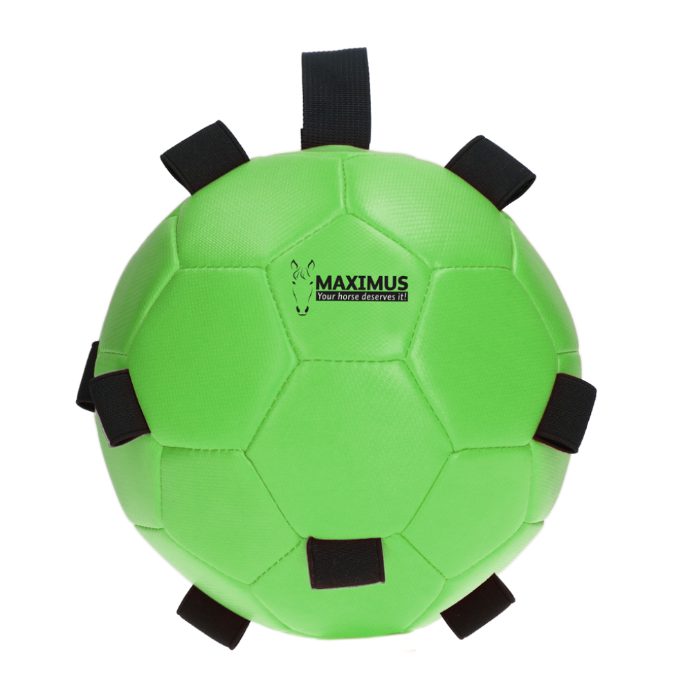 Maximus Fun Play Ball - paardendroom.be