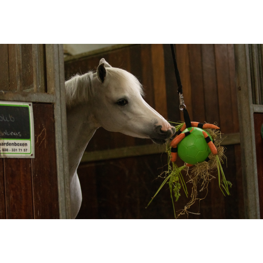 Maximus Fun Play Ball - paardendroom.be