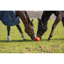 Maximus Fun Play Ball - paardendroom.be