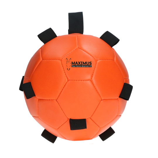 Maximus Fun Play Ball - paardendroom.be