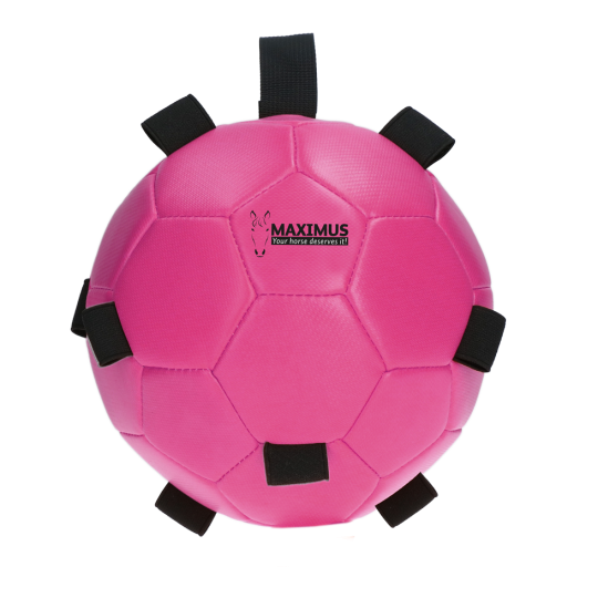 Maximus Fun Play Ball - paardendroom.be