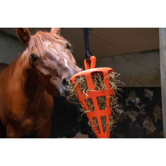 Hay Slowfeeder Fun and Flex Wortel