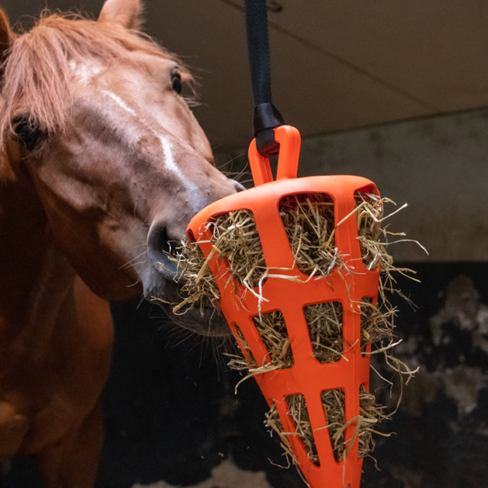 Hay Slowfeeder Fun and Flex Wortel