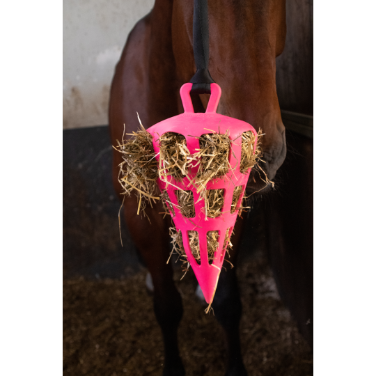 Hay Slowfeeder Fun and Flex Wortel