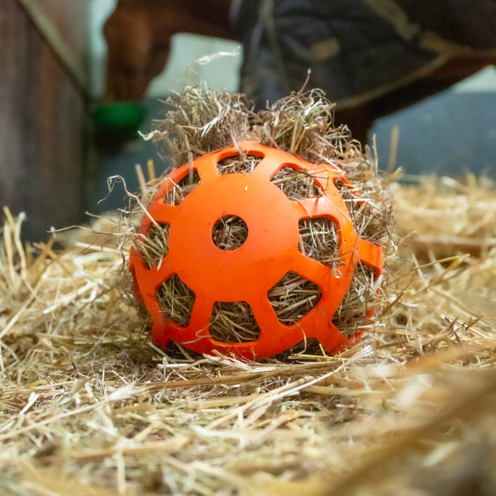 Hay Slowfeeder fun en flex 22 cm - paardendroom.be