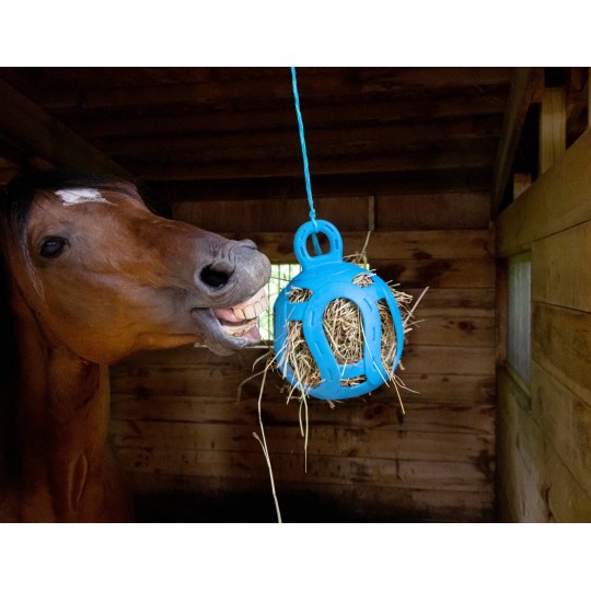Jolly Hay Ball - paardendroom.be