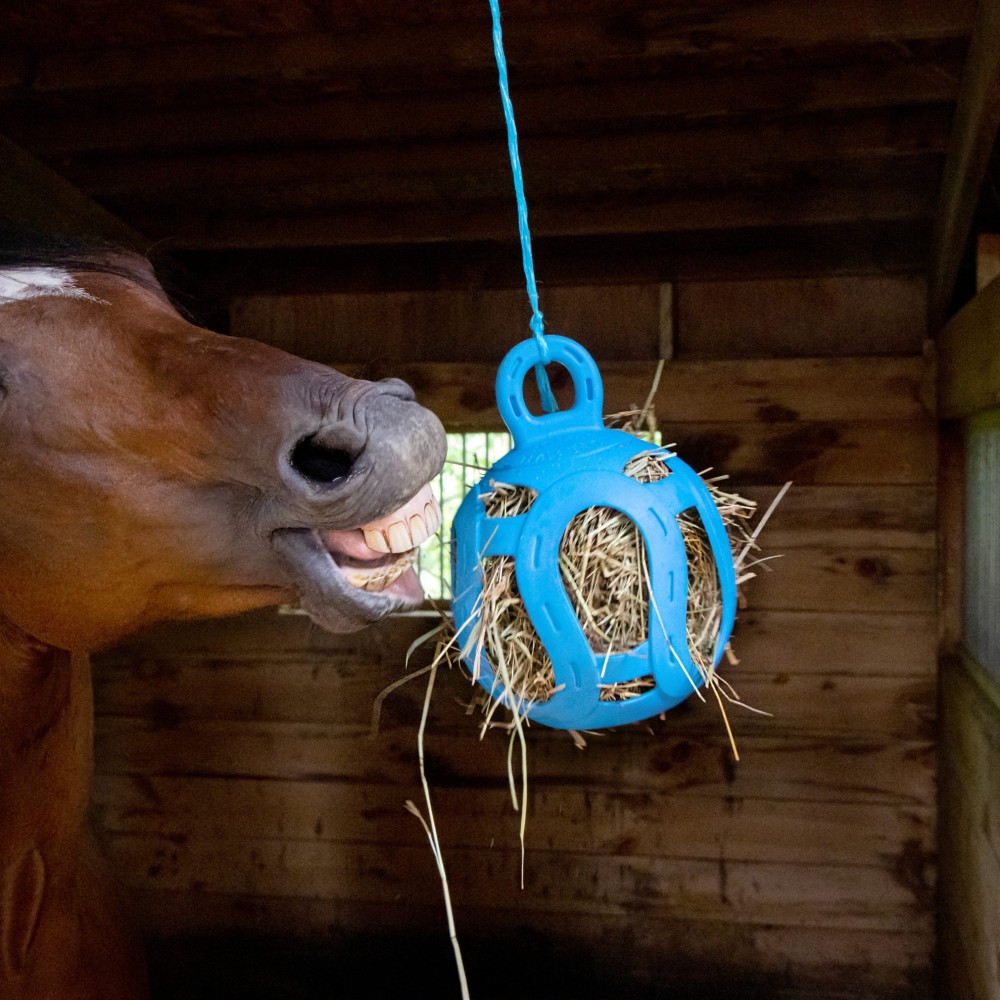Jolly Hay Ball - paardendroom.be