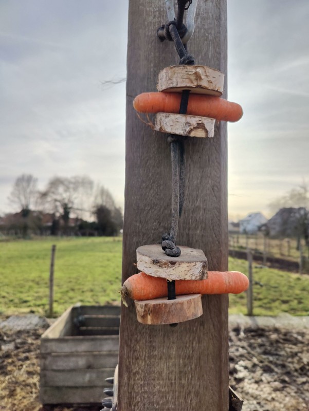 Swinging Snack