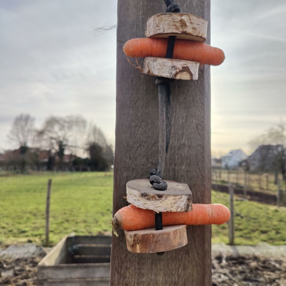 Swinging Snack - paardendroom.be