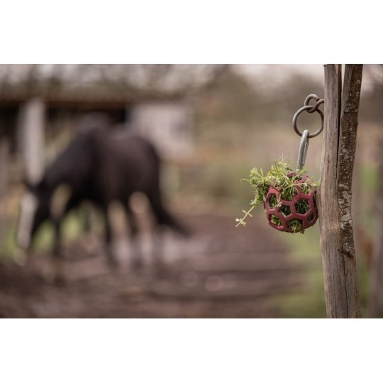 Flexivoerbal - verrijking voor pony's en paarden