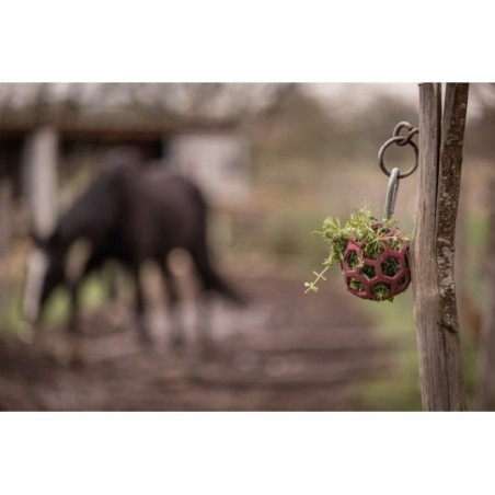 Flexivoerbal - verrijking voor pony's en paarden