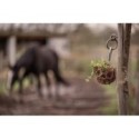 Flexivoerbal - verrijking voor pony's en paarden