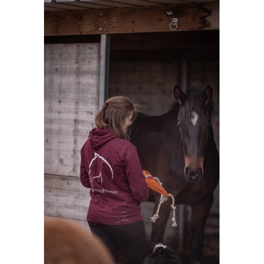Excellent Horse Foodie Friends Wortel - paardendroom.be