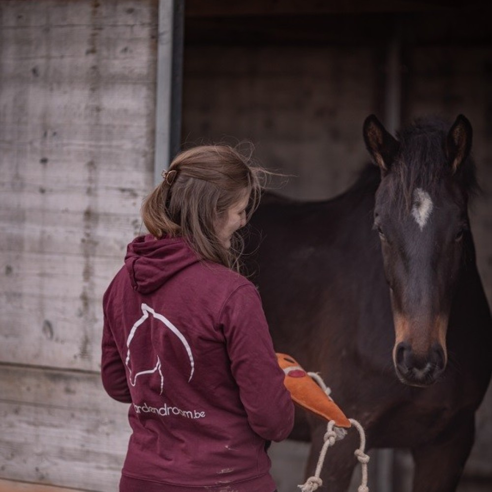 Excellent Horse Foodie Friends Wortel - paardendroom.be