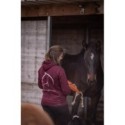 Excellent Horse Foodie Friends Wortel - paardendroom.be