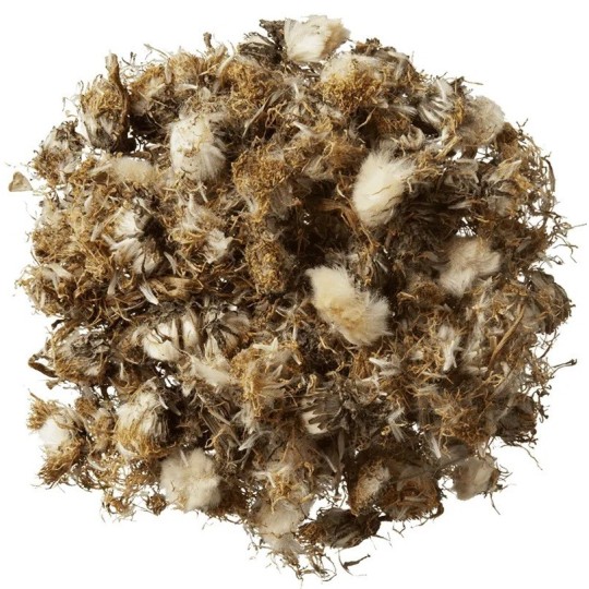 Paardenbloem - HorseFlex - paardendroom.be