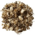 Paardenbloem - HorseFlex - paardendroom.be