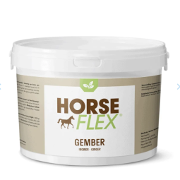 Gember - Horseflex - paardendroom.be