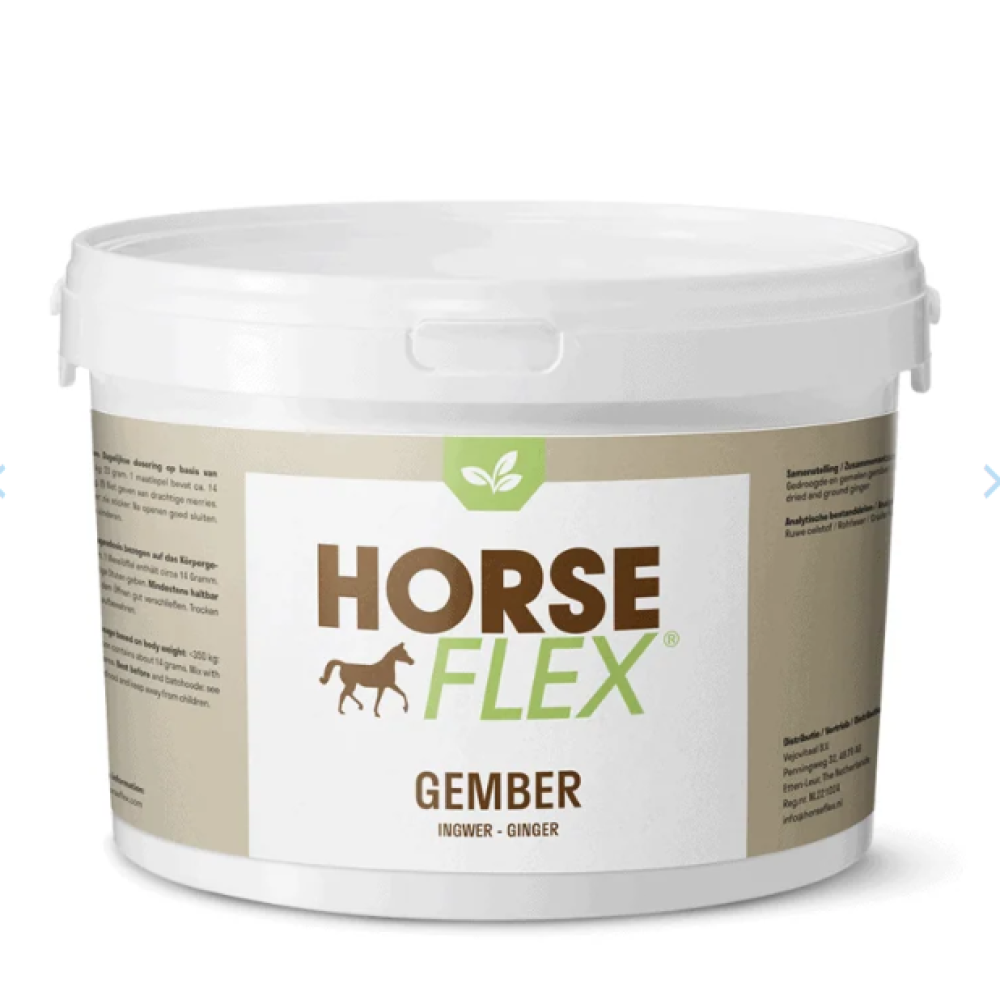 Gember - Horseflex - paardendroom.be