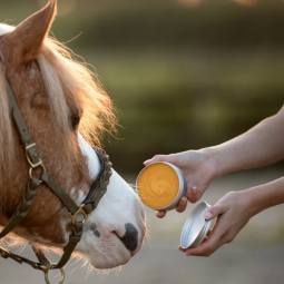 Laveos - Horse & Dog Honey...