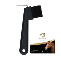 Excellent Horse Hoevenkrabber met borsteltje - paardendroom.be