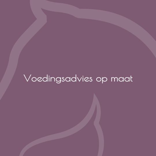 Voedingsadvies op maat (kruiden optioneel) - paardendroom.be