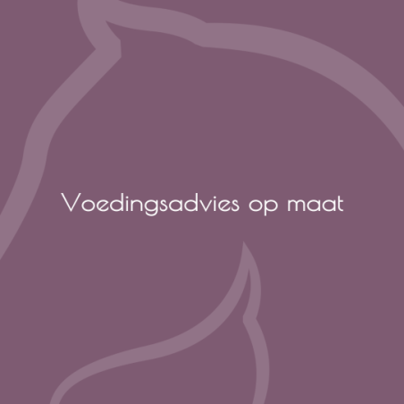 Voedingsadvies op maat (kruiden optioneel) - paardendroom.be