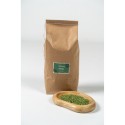 Moringa oleifera - paardendroom.be