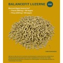 Metazoa BalanceFit Luzerne
