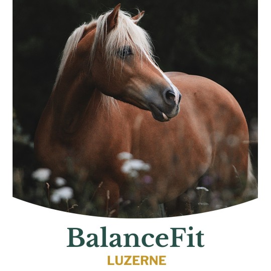 Metazoa BalanceFit Luzerne