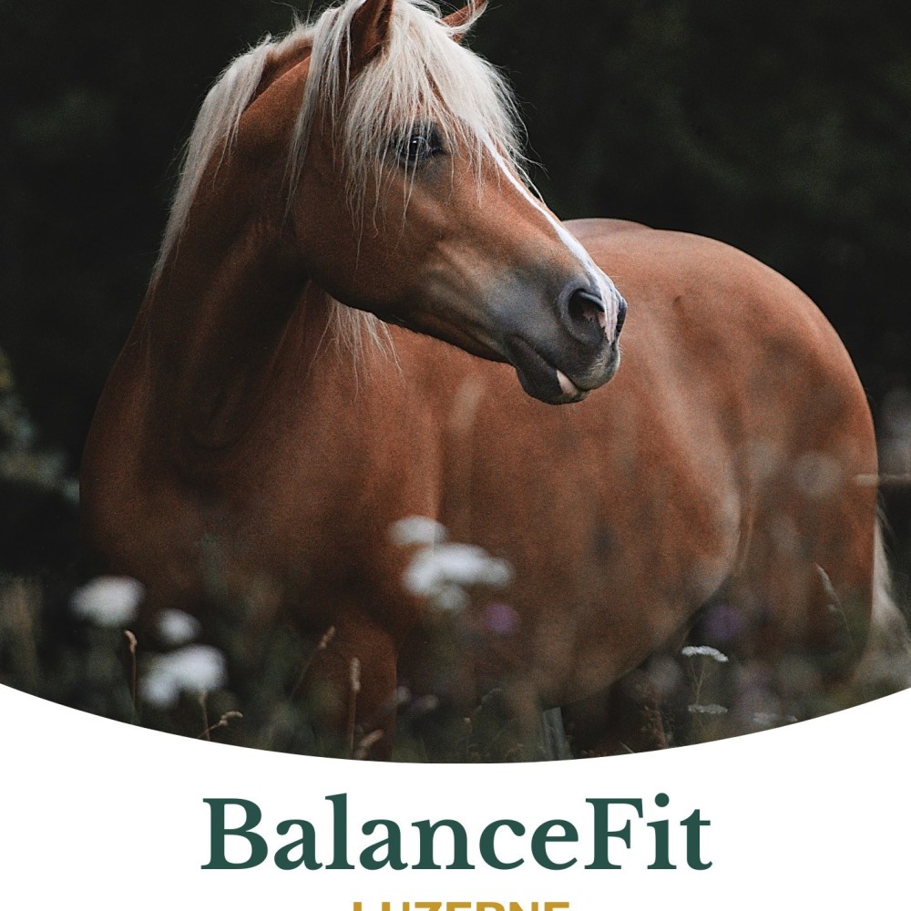 Metazoa BalanceFit Luzerne