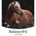 Metazoa BalanceFit Luzerne