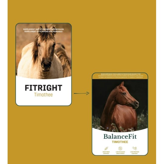 Metazoa FitRight Timothee