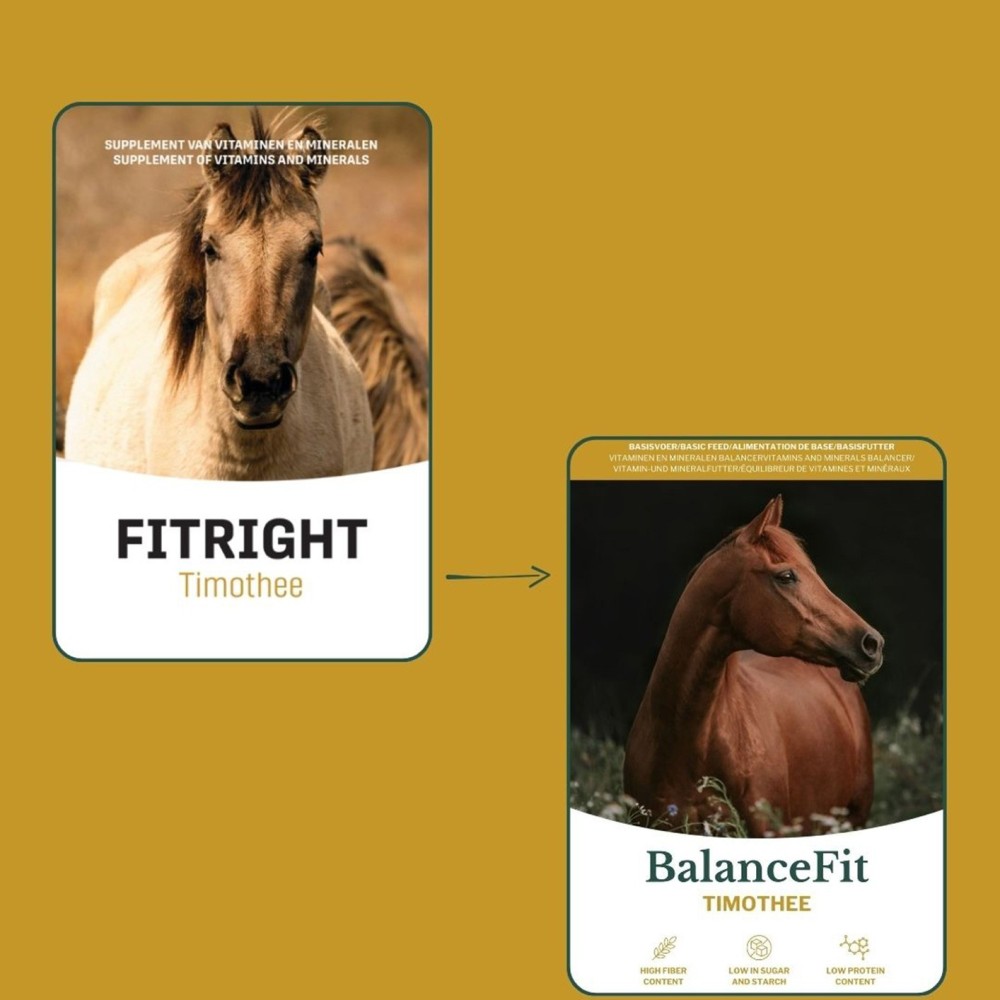 Metazoa FitRight Timothee