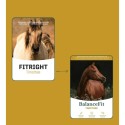 Metazoa FitRight Timothee