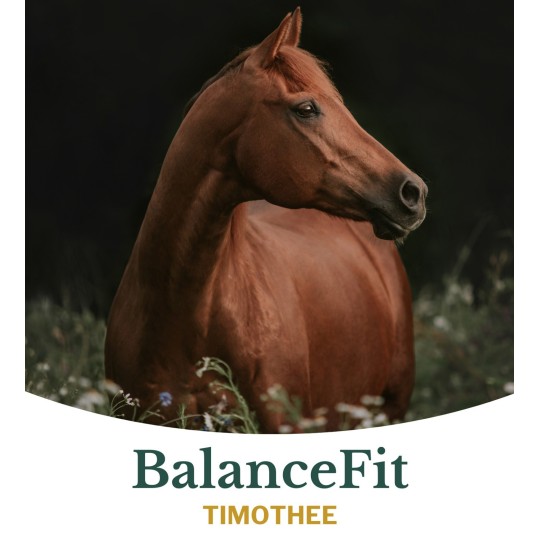 Metazoa BalanceFit Timothee