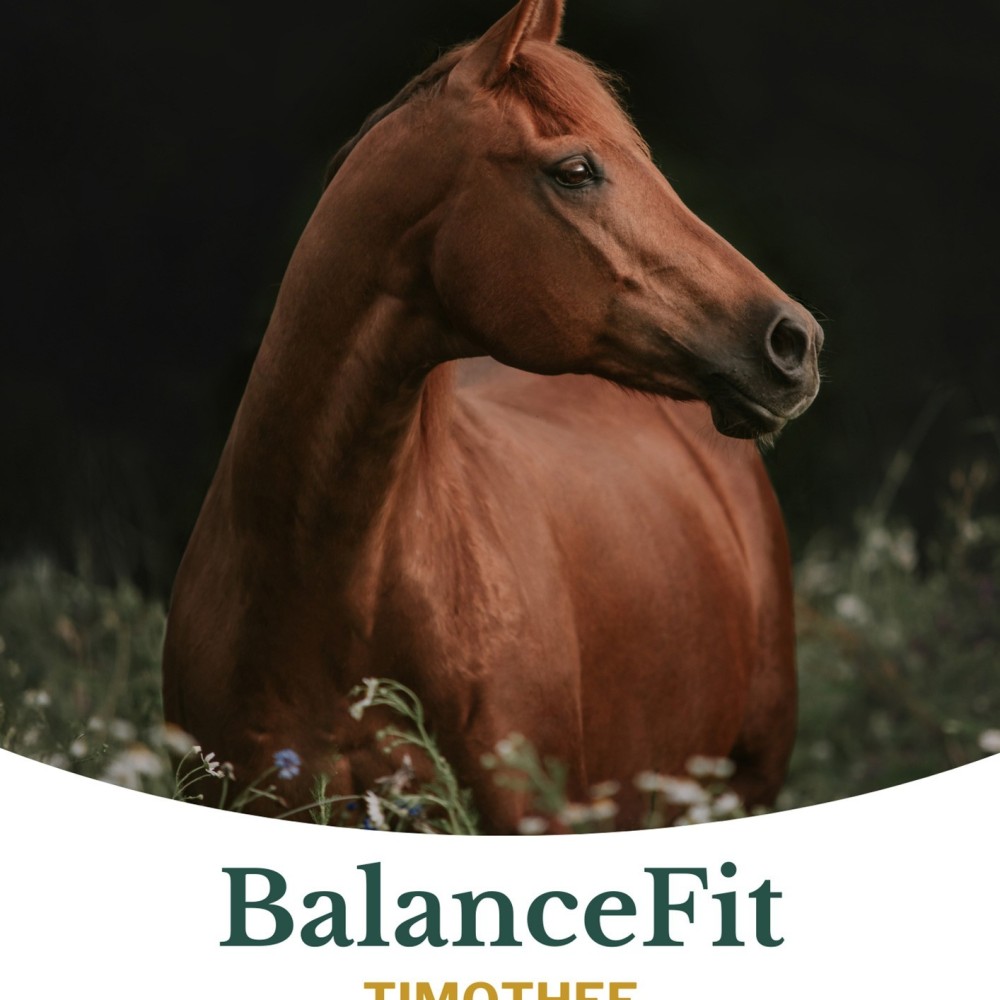 Metazoa BalanceFit Timothee