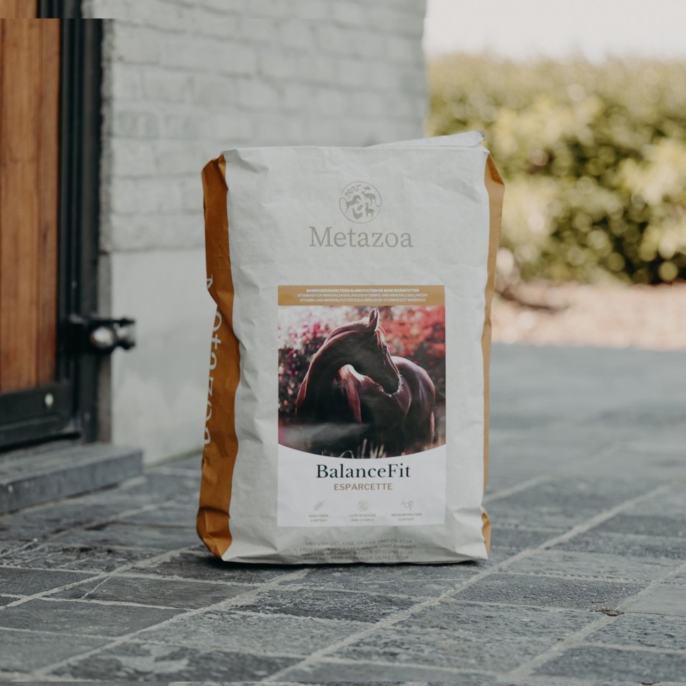 Metazoa BalanceFit Esparcette