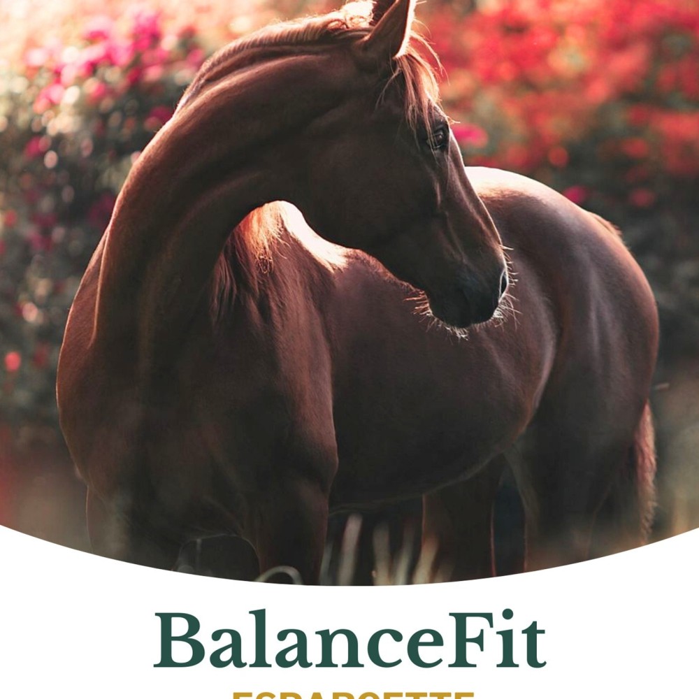 Metazoa BalanceFit Esparcette