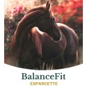 Metazoa BalanceFit Esparcette