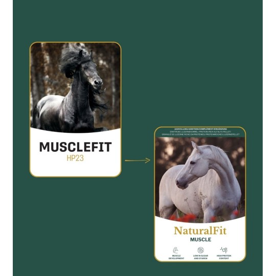 Metazoa MuscleFit