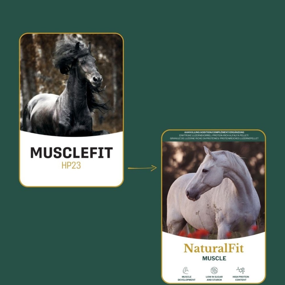 Metazoa MuscleFit