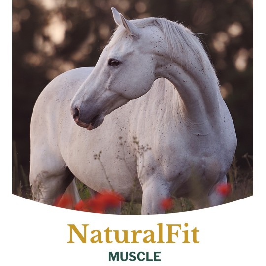 Metazoa NaturalFit Muscle